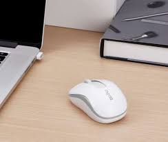 RAPOO M10PLUS WIRELESS MOUSE