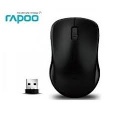 RAPOO 1620 WIRELESS OPTICAL MOUSE